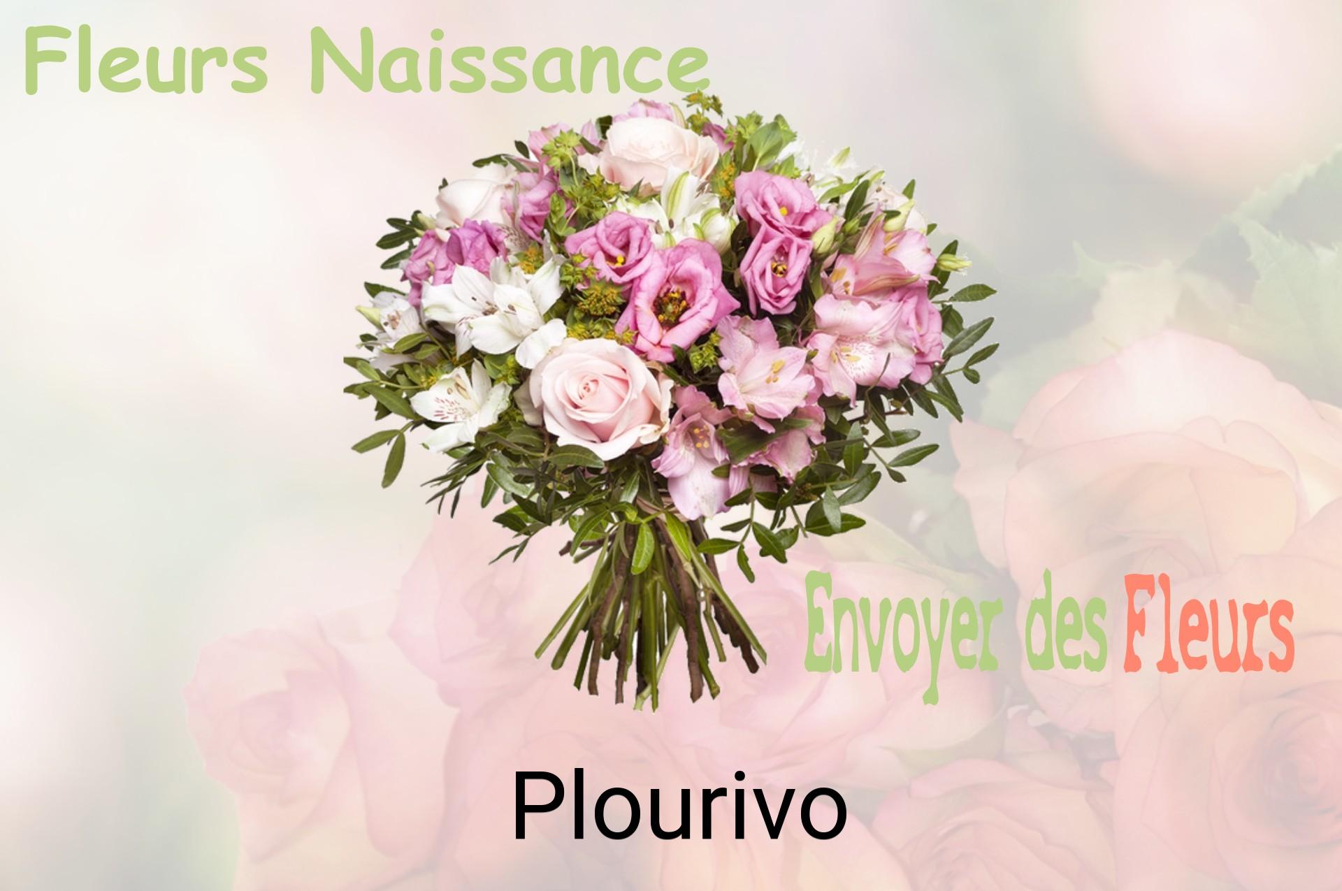 Bouquet de fleurs de naissance livré à Plourivo